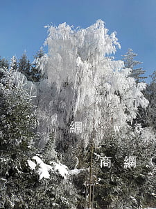 網(wǎng)貸逾期多久同意協(xié)商(網(wǎng)貸即將逾期,可以協(xié)商過幾個月還嗎?)