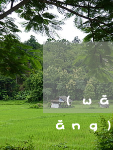 網(wǎng)貸逾期多久就沒事了(網(wǎng)貸逾期幾年了有沒事)