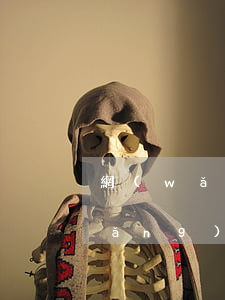 網(wǎng)貸逾期多久征信會黑(網(wǎng)貸逾期多久征信會黑)