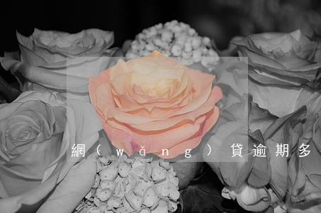 網(wǎng)貸逾期多久才會坐牢
