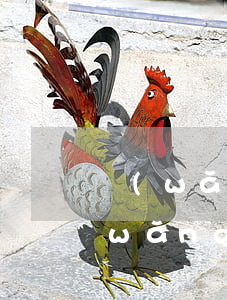 網(wǎng)貸逾期多久才清除記錄(網(wǎng)貸逾期記錄可以申請消除嗎)
