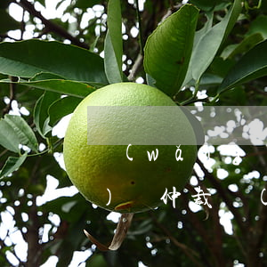 網(wǎng)貸逾期多久才網(wǎng)絡仲裁(網(wǎng)貸逾期多久才網(wǎng)絡仲裁)