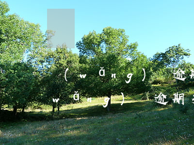 網(wǎng)貸逾期多久才能夠起訴(網(wǎng)貸逾期多久才能夠起訴)