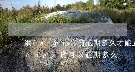 網(wǎng)貸逾期多久才能立案(網(wǎng)貸可以逾期多久)