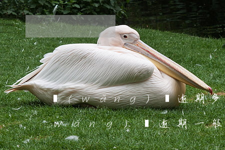 網(wǎng)貸逾期多久才能起訴我(網(wǎng)貸逾期一般多久會(huì)起訴)