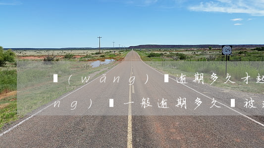 網(wǎng)貸逾期多久才起訴(網(wǎng)貸一般逾期多久會被起訴)