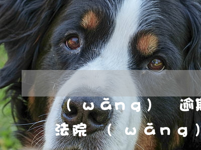 網(wǎng)貸逾期多久會(huì)上法院(網(wǎng)貸逾期幾個(gè)月會(huì)被起訴)