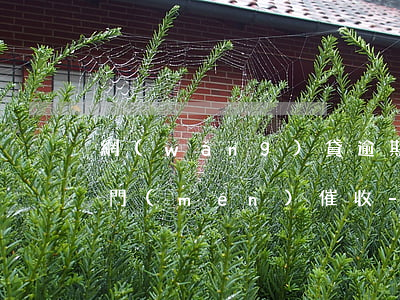 網(wǎng)貸逾期多久會(huì)上門(mén)催收-網(wǎng)貸逾期多久會(huì)上門(mén)催收電話