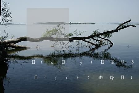網(wǎng)貸逾期多久會(huì)凍結(jié)微信(網(wǎng)貸逾期會(huì)被凍結(jié)微信嗎)