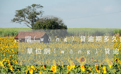 網(wǎng)貸逾期多久會(huì)打單位(網(wǎng)貸逾期十幾天有什么影響)
