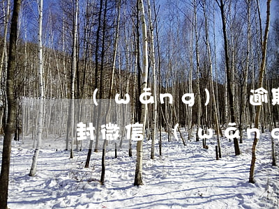 網(wǎng)貸逾期多久會(huì)查封微信(網(wǎng)貸逾期會(huì)不會(huì)限制微信交易)