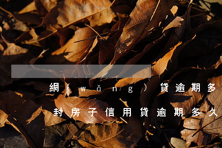 網(wǎng)貸逾期多久會(huì)查封房子(信用貸逾期多久開(kāi)始查封房產(chǎn))