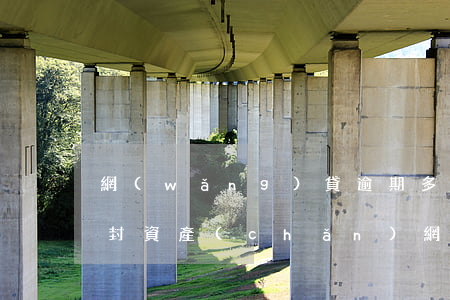 網(wǎng)貸逾期多久會(huì)查封資產(chǎn)(網(wǎng)貸逾期多久會(huì)查封資產(chǎn))