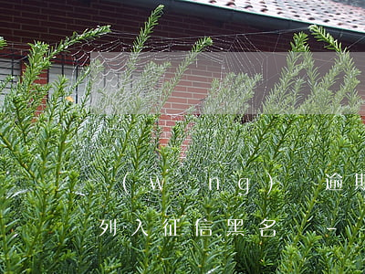 網(wǎng)貸逾期多久會(huì)被列入征信黑名單-網(wǎng)貸逾期多久會(huì)被列入征信黑名單呢