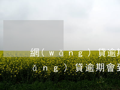 網(wǎng)貸逾期多久會上公司(網(wǎng)貸逾期會到公司里要嗎)