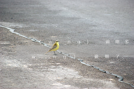 網(wǎng)貸逾期多久會上門催款(網(wǎng)貸逾期了會上門催收嗎)
