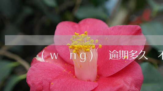 網(wǎng)貸逾期多久會不追究