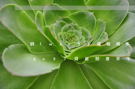 網(wǎng)貸逾期多久會坐牢嗎(網(wǎng)貸逾期會坐牢嗎 會做多久)