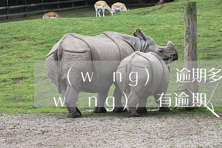 網(wǎng)貸逾期多久會清楚記錄(網(wǎng)貸有逾期記錄怎么辦)