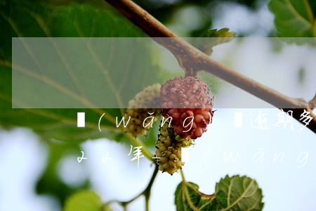 網(wǎng)貸逾期多久會爆通訊錄2022年-網(wǎng)貸逾期多久會爆通信錄
