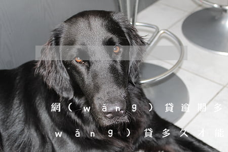 網(wǎng)貸逾期多久會自動消除(網(wǎng)貸多久才能消除)