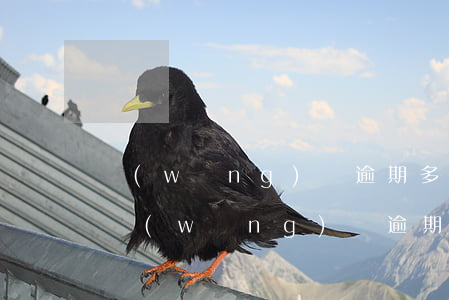網(wǎng)貸逾期多久會被起訴坐牢么 網(wǎng)貸逾期多久會被起訴?