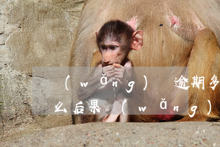 網(wǎng)貸逾期多久會被起訴會有什么后果(網(wǎng)貸逾期多久會被起訴到法院正規(guī))