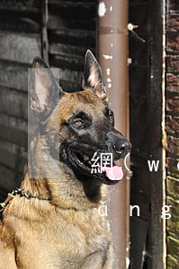 網(wǎng)貸逾期多久會被起訴（網(wǎng)貨逾期被起訴訟）