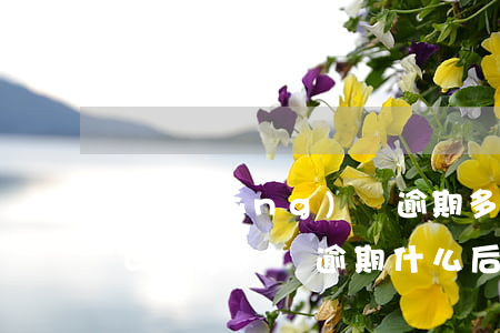 網(wǎng)貸逾期多久會變壞賬(網(wǎng)貸逾期什么后果)