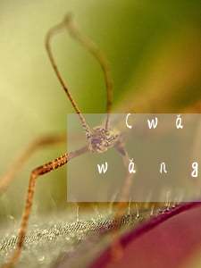 網(wǎng)貸逾期多久法院不接受(網(wǎng)貸逾期多久后不能起訴)