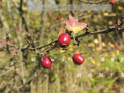網(wǎng)貸逾期多久無法起訴(網(wǎng)貸逾期不還會不會被起訴)