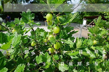 網(wǎng)貸逾期多久爆通信錄(網(wǎng)貸逾期多長(zhǎng)時(shí)間爆通訊錄)