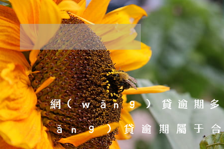 網(wǎng)貸逾期多久算是詐騙(網(wǎng)貸逾期屬于合同詐騙嗎)