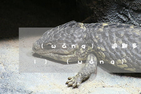 網(wǎng)貸逾期多久能查出來(lái)(網(wǎng)貸逾期記錄多久)