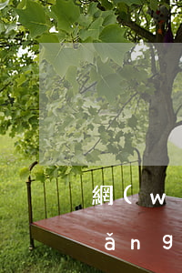 網(wǎng)貸逾期多久能被起訴（網(wǎng)貸逾期多久會被起訴超過三年了）