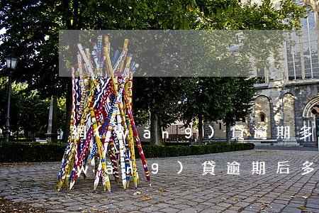 網(wǎng)貸逾期多久能辦理房貸(網(wǎng)貸逾期后多久可以正常)