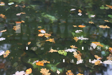 網(wǎng)貸逾期多久能通訊錄(網(wǎng)貸逾期聯(lián)系通訊錄)