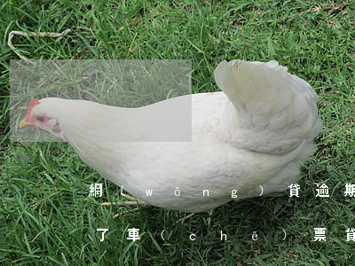網(wǎng)貸逾期多久買(mǎi)不了車(chē)票(貸款逾期是不是買(mǎi)不了火車(chē)票)