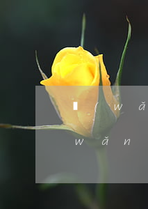 網(wǎng)貸逾期多久起訴呀 逾期網(wǎng)貸多久會(huì)被起訴