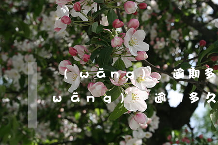 網(wǎng)貸逾期多久起訴有效期(網(wǎng)貸逾期多久過訴訟期)