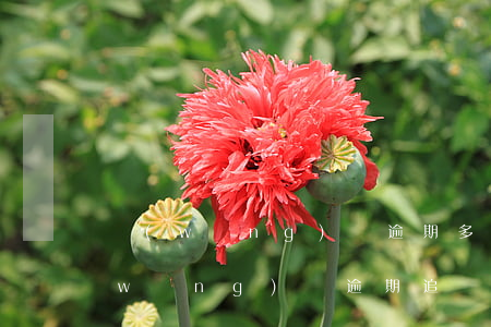 網(wǎng)貸逾期多久起訴有效期(網(wǎng)貸逾期追訴期是多久)