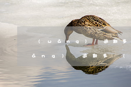 網(wǎng)貸逾期多久起訴流程(網(wǎng)貸逾期多長(zhǎng)時(shí)間會(huì)被起訴)