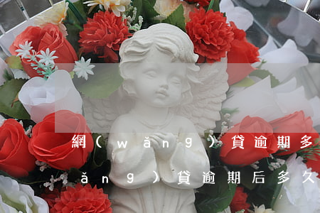 網(wǎng)貸逾期多久開始處理(網(wǎng)貸逾期后多久可以正常)
