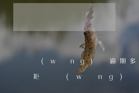 網(wǎng)貸逾期多了會(huì)被拒嗎(網(wǎng)貸逾期嚴(yán)重嗎)