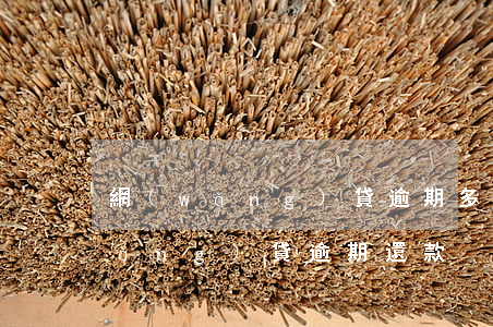 網(wǎng)貸逾期多但是還掉了(網(wǎng)貸逾期還款)