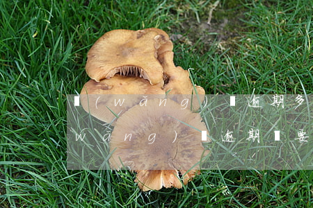 網(wǎng)貸逾期多大金額會上門(網(wǎng)貸逾期說要上門是真的嗎)