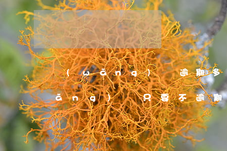 網(wǎng)貸逾期多少不上征信(網(wǎng)貸只要不逾期就不上征信)