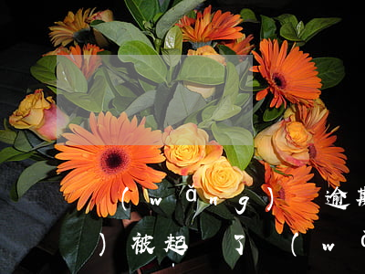 網(wǎng)貸逾期多少天才會(huì)被起訴了（網(wǎng)貸逾期多久多長(zhǎng)時(shí)間會(huì)被起訴）