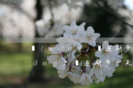 網(wǎng)貸逾期多少天還不來(網(wǎng)貸逾期多少天還不來)