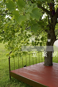 網(wǎng)貸逾期多少才會(huì)立案(網(wǎng)貸逾期多少才會(huì)立案)